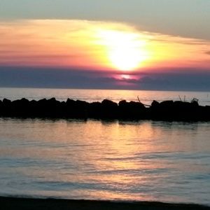 Meet your Posher, Sharae